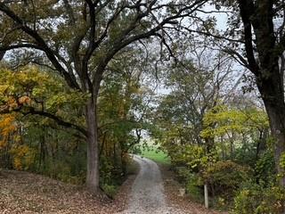 14309  Plattsburg Road, Kearney, MO 64060 | MLS#2561784