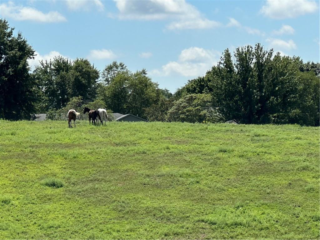 24110  HIGHWAY Y N/A, Dearborn, MO 64439 | MLS#2571199