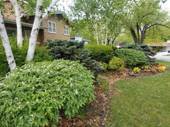 2101 NE 62nd Street, Kansas City, MO 64118 | MLS#2583120