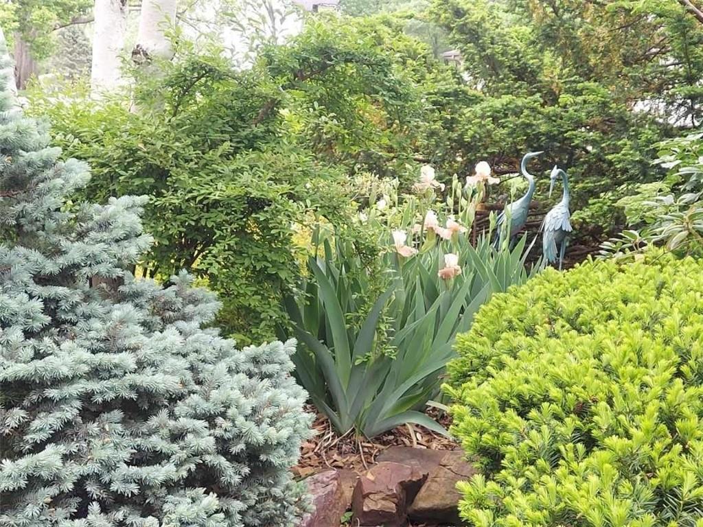 2101 NE 62nd Street, Kansas City, MO 64118 | MLS#2583120