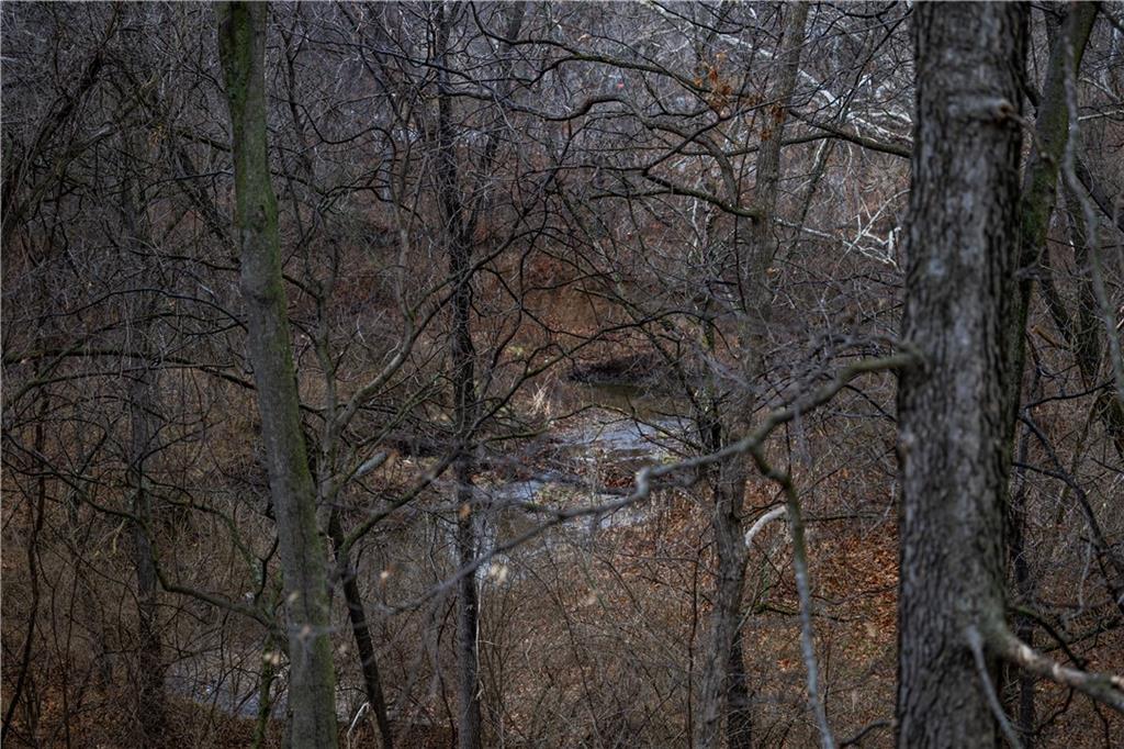 7216 N Hickory Street, Kansas City, MO 64118 | MLS#2593191